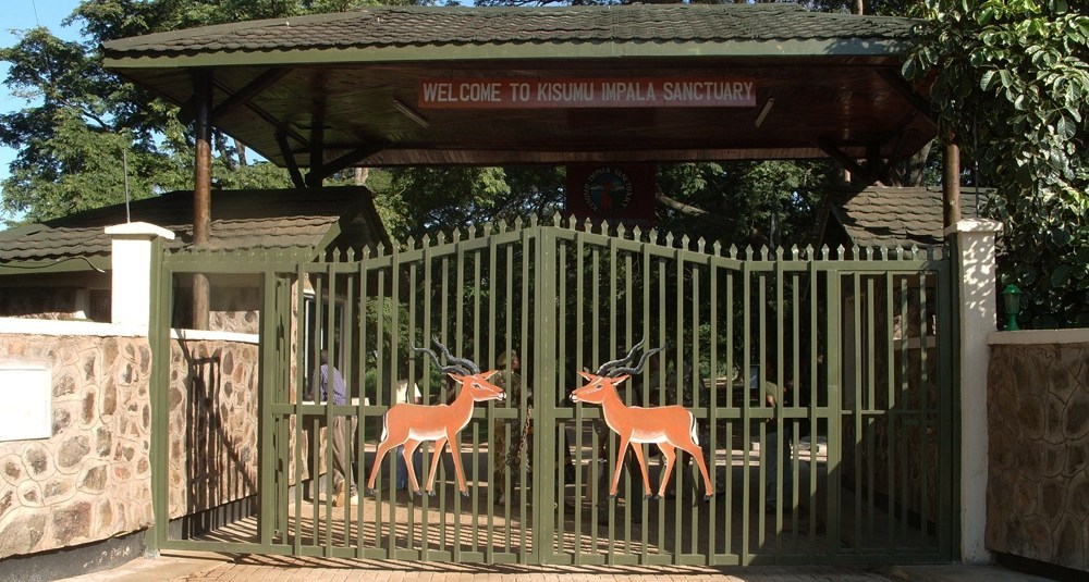 Kisumu-Impala-Sanctuary