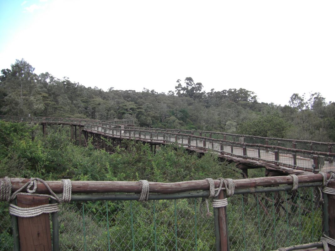 nairobi-safari-walk-a-gem-at-the-heart-of-the-city-travel-moran