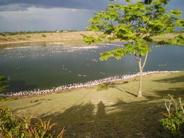 Lake-simbi-national-sanctuary