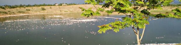 Lake simbi Lake-simbi-national-sanctuary