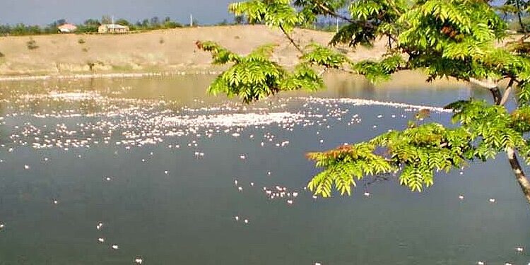 Lake-simbi-national-sanctuary