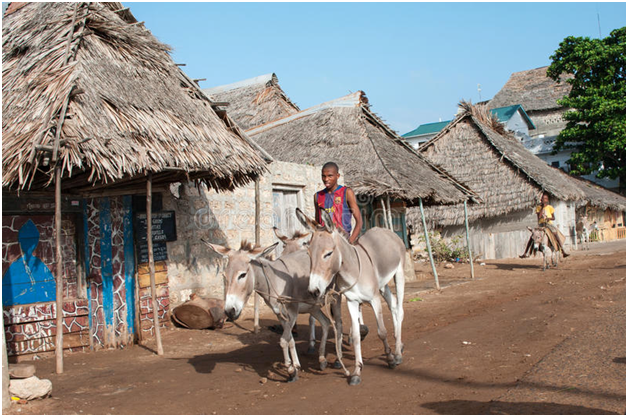 Best-Kenyan-Culture-Lamu