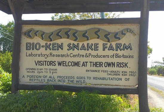 Bio-Ken-Snake-Farm-Amazing-Tourist-Destinations-In-Kilifi