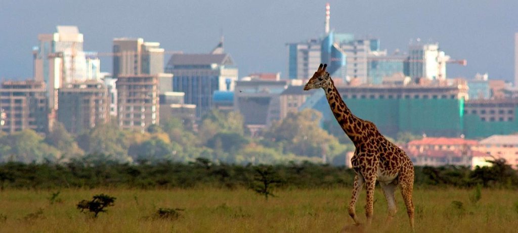 Nairobi-National-Park