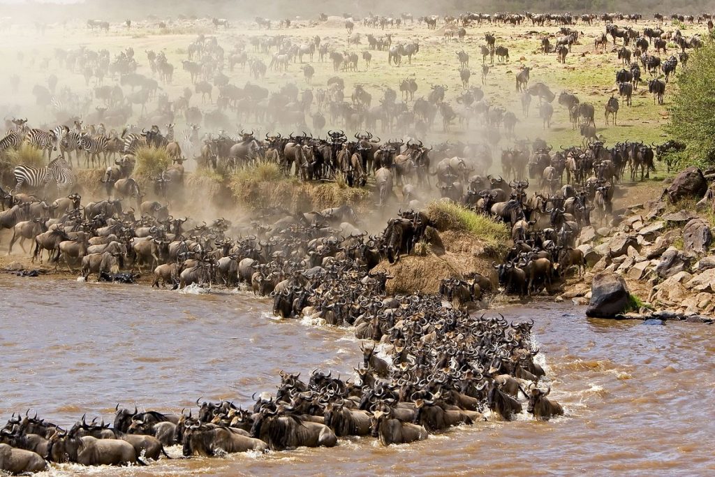 Crossing-Point-of-the-Mara-River-Fantastic-Destinations-In-The-Maasai-Mara