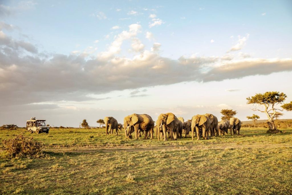 Ol-Kinyei-Conservancy