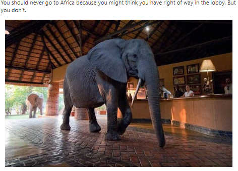 Should-I-Travel-to-Africa