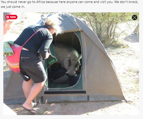 Should-I-Travel-to-Africa