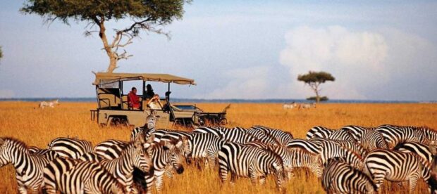 best-tour-companies-in-kenya