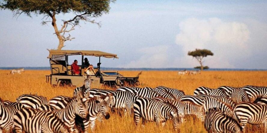 tours and travel companies in kenya