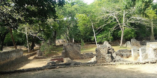 Gedi-ruins Gedi-ruins