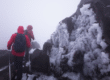 Hikers-on-icy-Mount-Kenya-trail -Mount-Kenya-hikes