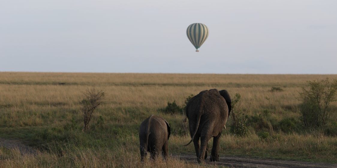 Kenya Hot Air Ballon Hot-Air-Balloon-flying-over-Savanna