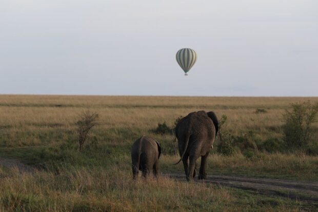 Kenya Hot Air Ballon Hot-Air-Balloon-flying-over-Savanna