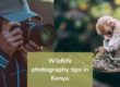 Photographer-with-camera-and-monkey-on-branch-wildlife-photography-in-Kenya