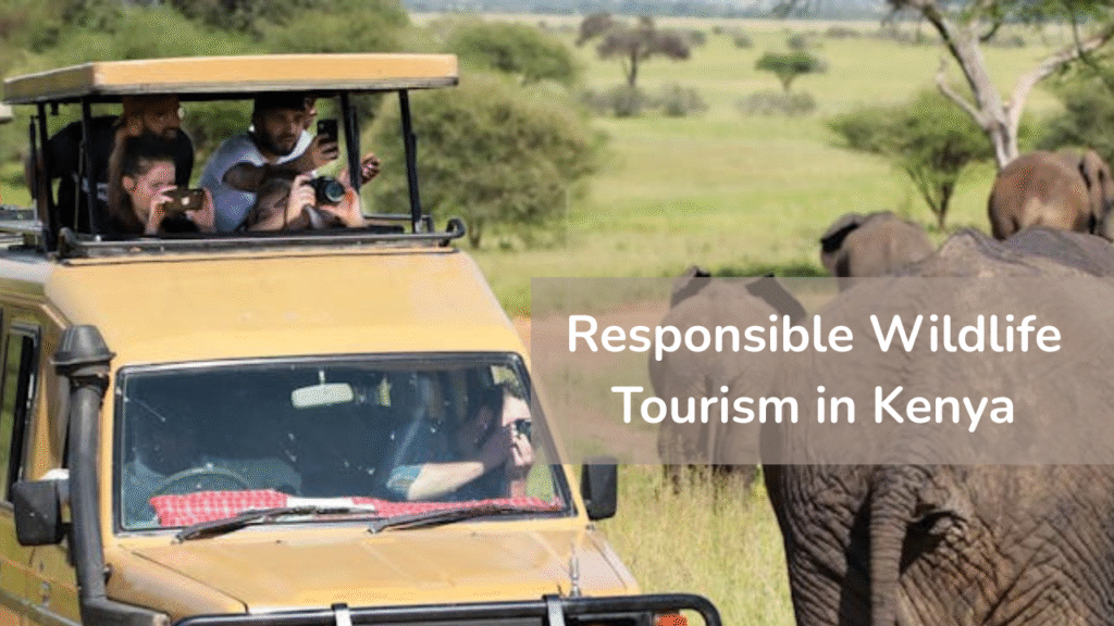 Tourists-on-a-safari-in-Kenya-photographing-elephants-responsibly-from-a-safari-vehicle