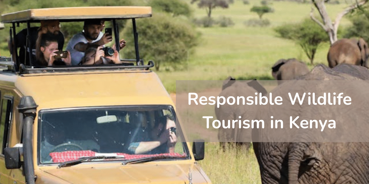 Tourists-on-a-safari-in-Kenya-photographing-elephants-responsibly-from-a-safari-vehicle