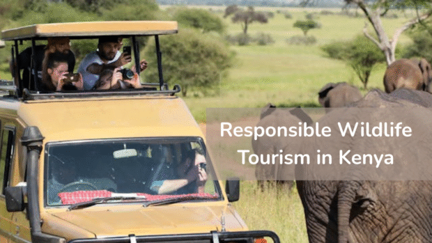 Tourists on a safari in Kenya photographing elephants responsibly from a safari vehicle Tourists-on-a-safari-in-Kenya-photographing-elephants-responsibly-from-a-safari-vehicle