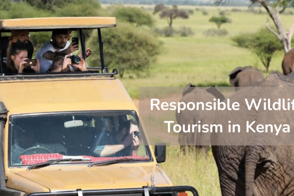 Tourists on a safari in Kenya photographing elephants responsibly from a safari vehicle Tourists-on-a-safari-in-Kenya-photographing-elephants-responsibly-from-a-safari-vehicle